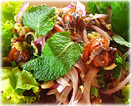  สูตรอาหารไทย : ยำหอยแครง