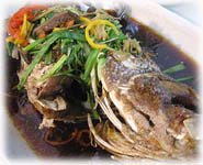  สูตรอาหารไทย : ปลานึ่งซิอิ๊ว