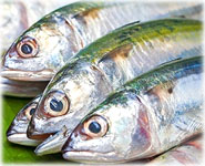  สูตรอาหารไทย : ปลาทู