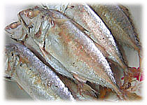  Thai Food Recipe | Mackerel Fish