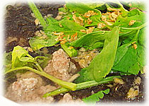  สูตรอาหารไทย : ต้มจืดเต้าหู้สาหร่าย